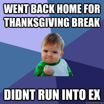 went back home for thanksgiving break didnt run into ex - Success Kid
