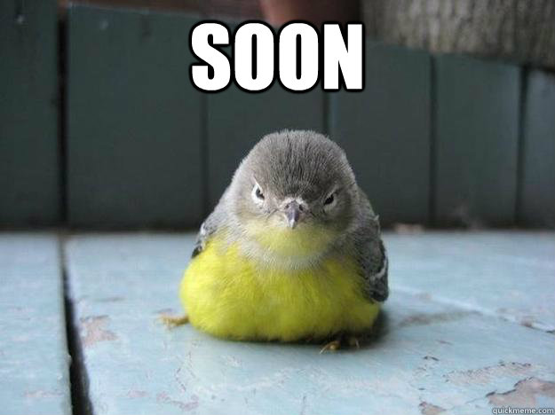 soon  - 