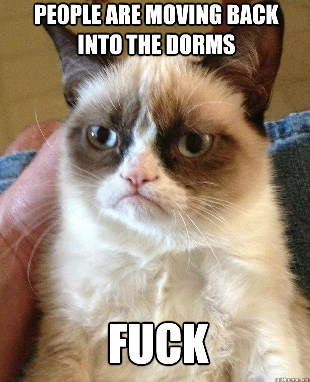 people are moving back into the dorms fuck - Grumpy Cat