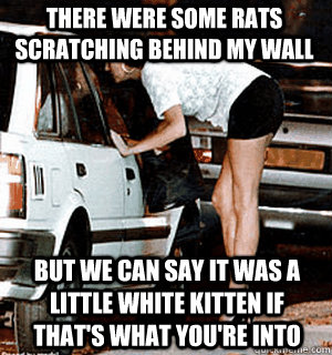 there were some rats scratching behind my wall but we can sa - Karma Whore