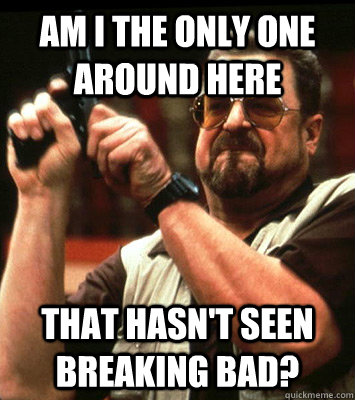 am i the only one around here that hasnt seen breaking bad - Angry walter