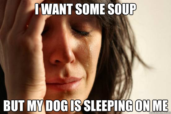 i want some soup but my dog is sleeping on me - First World Problems