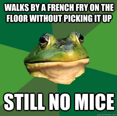 walks by a french fry on the floor without picking it up sti - Foul Bachelor Frog