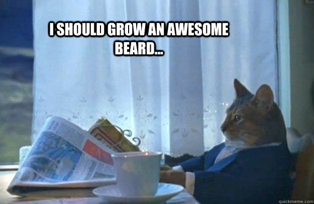 i should grow an awesome beard - Sophisticated Cat