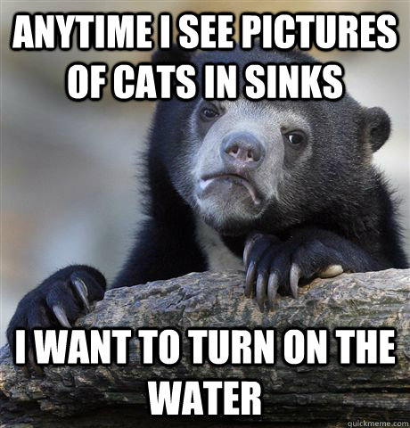 anytime i see pictures of cats in sinks i want to turn on th - Confession Bear