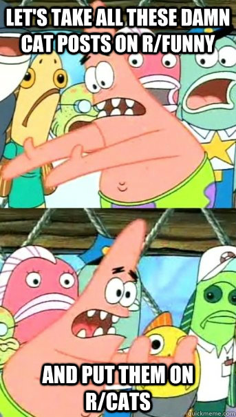 lets take all these damn cat posts on rfunny and put them - Push it somewhere else Patrick