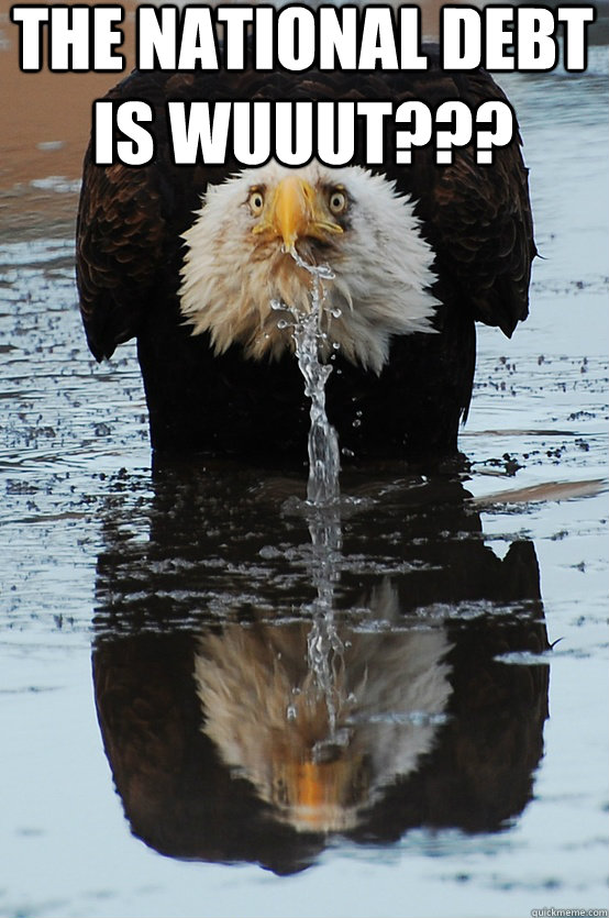 the national debt is wuuut -