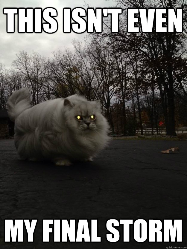 this isnt even my final storm - Storm Cat