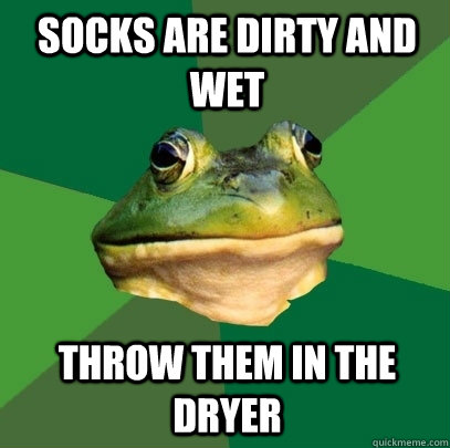 socks are dirty and wet throw them in the dryer - Foul Bachelor Frog