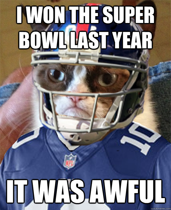 i won the super bowl last year it was awful - Eli-Tard