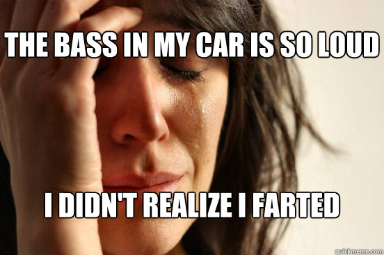 the bass in my car is so loud i didnt realize i farted - First World Problems