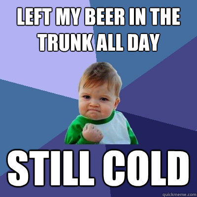 left my beer in the trunk all day still cold - Success Kid