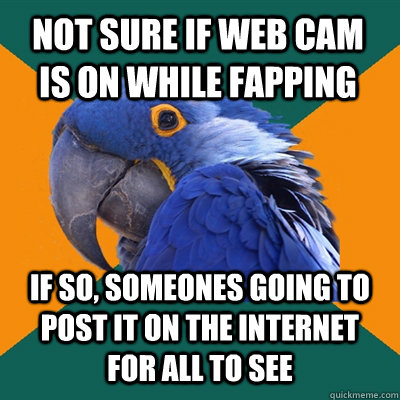 not sure if web cam is on while fapping if so someones goin - Paranoid Parrot