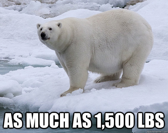 as much as 1500 lbs -