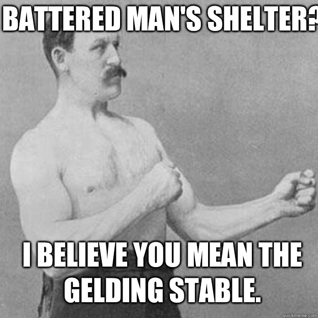 Battered Mans Shelter I believe you mean the gelding stable - overly manly man
