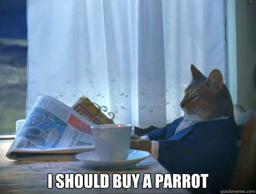 i should buy a parrot - The One Percent Cat