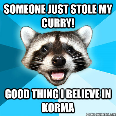 someone just stole my curry good thing i believe in korma - Lame Pun Raccoon