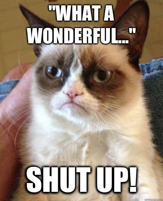 What a wonderful Shut up - Grumpy Cat