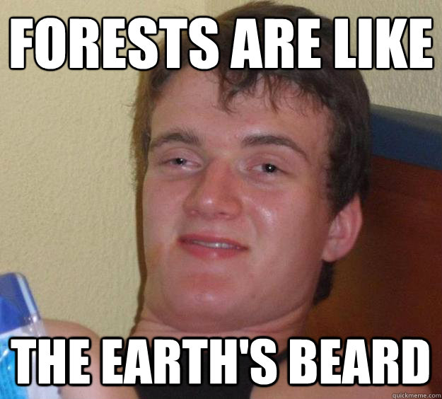 forests are like the earths beard - 10 Guy