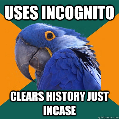 uses incognito clears history just incase - Paranoid Parrot