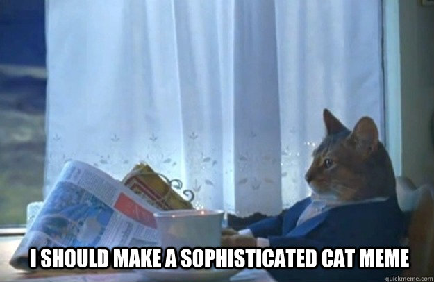 i should make a sophisticated cat meme - Sophisticated Cat