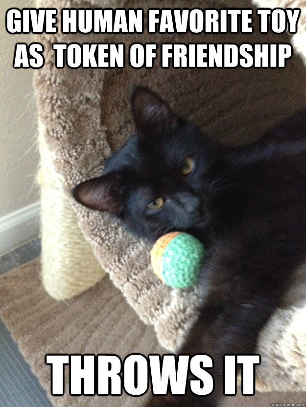 give human favorite toy as token of friendship throws it -