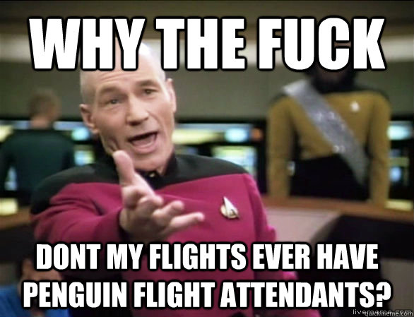 why the fuck dont my flights ever have penguin flight attend - Annoyed Picard HD
