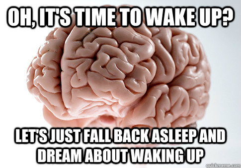 oh its time to wake up lets just fall back asleep and dr - Scumbag Brain
