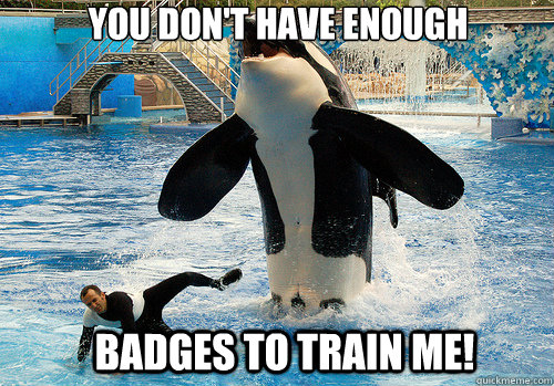 you dont have enough badges to train me - You dont have enough