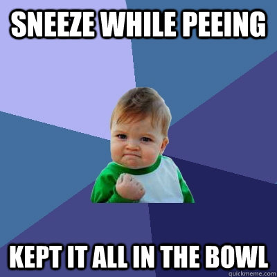 sneeze while peeing kept it all in the bowl - Success Kid