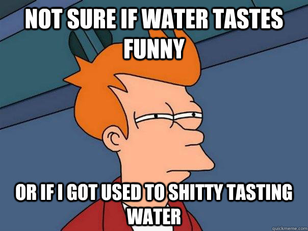 not sure if water tastes funny or if i got used to shitty ta - Futurama Fry