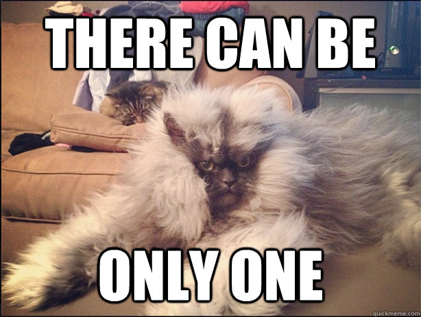 there can be only one -