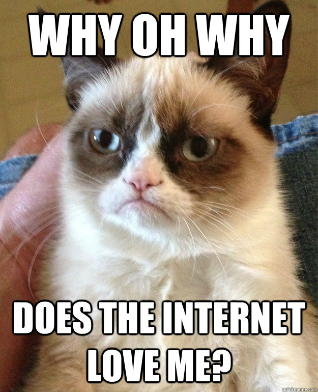 why oh why does the internet love me - Grumpy Cat