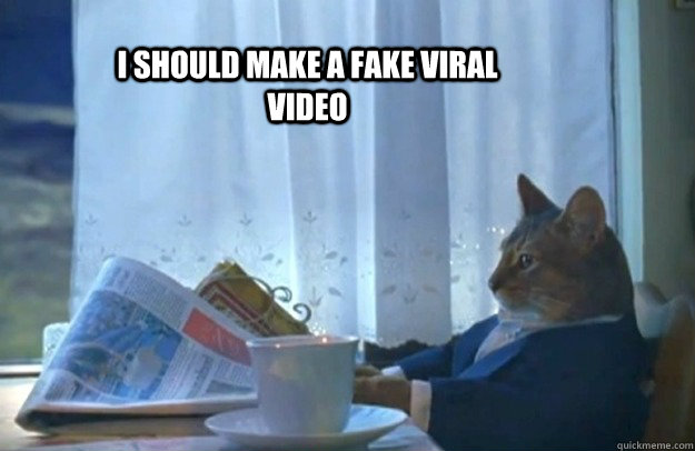 i should make a fake viral video - Sophisticated Cat