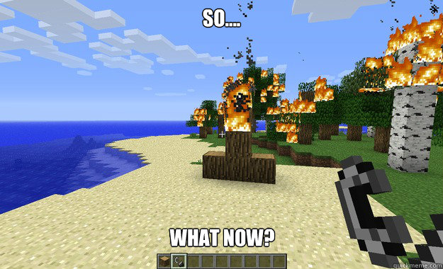 so what now - When I decide to play Minecraft