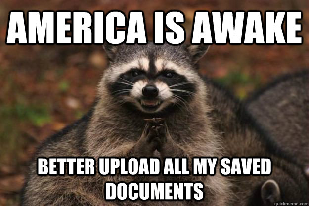 america is awake better upload all my saved documents - Evil Plotting Raccoon