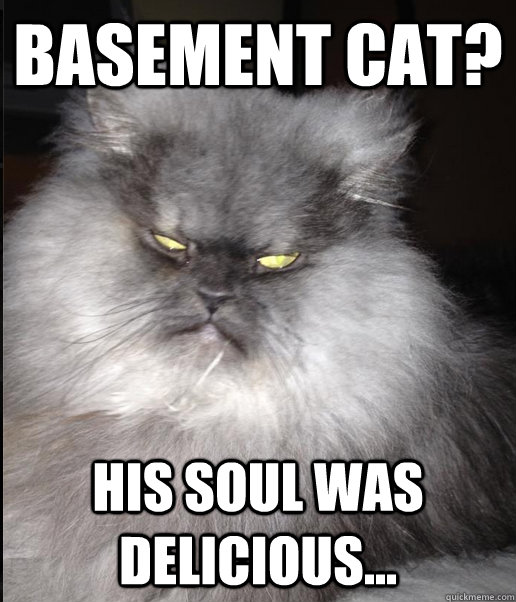 basement cat his soul was delicious -