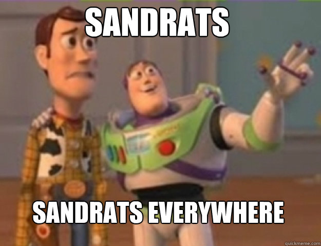 sandrats sandrats everywhere - buzz lightyear
