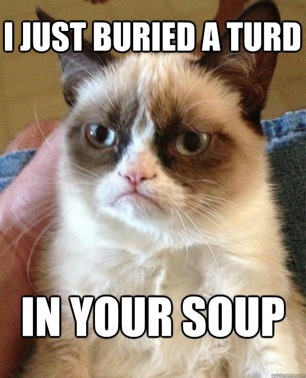 i just buried a turd in your soup - Grumpy Cat