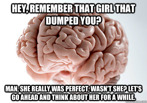 hey remember that girl that dumped you man she really wa - Scumbag Brain