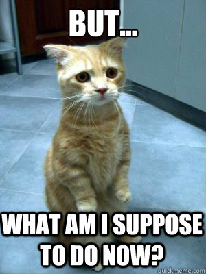 but what am i suppose to do now - sad cat blog