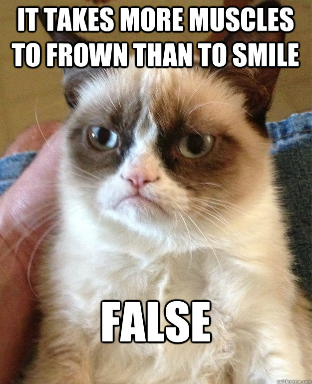 it takes more muscles to frown than to smile false - Grumpy Cat