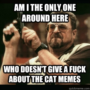 am i the only one around here who doesnt give a fuck about - AM I THE ONLY ONE AROUND HERE