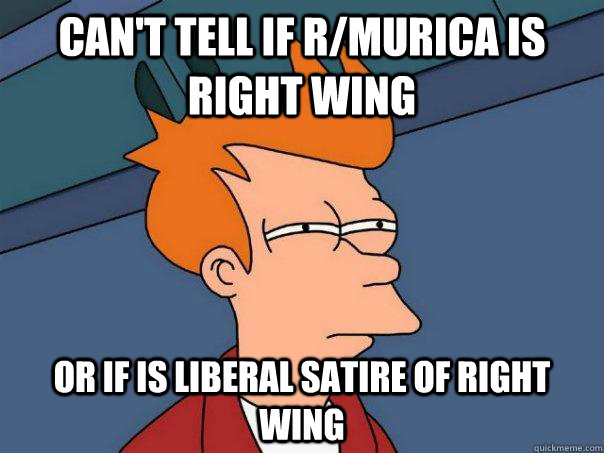 cant tell if rmurica is right wing or if is liberal satire - Futurama Fry