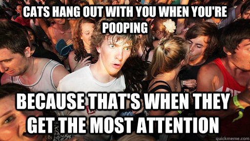 cats hang out with you when youre pooping because thats wh - Sudden Clarity Clarence