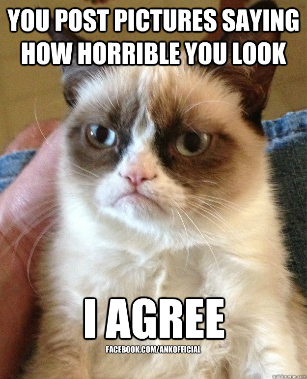you post pictures saying how horrible you look i agree faceb - Grumpy Cat