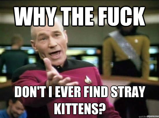 why the fuck dont i ever find stray kittens - Annoyed Picard HD