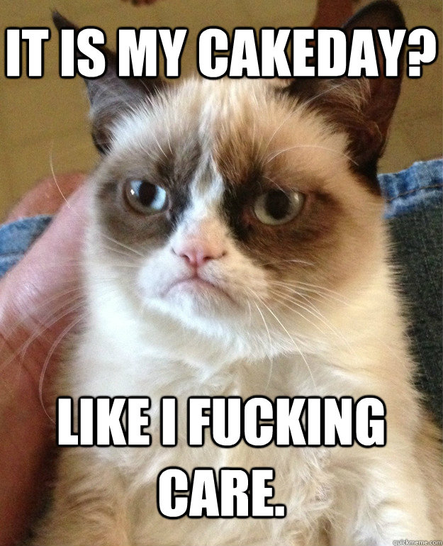 it is my cakeday like i fucking care - Grumpy Cat