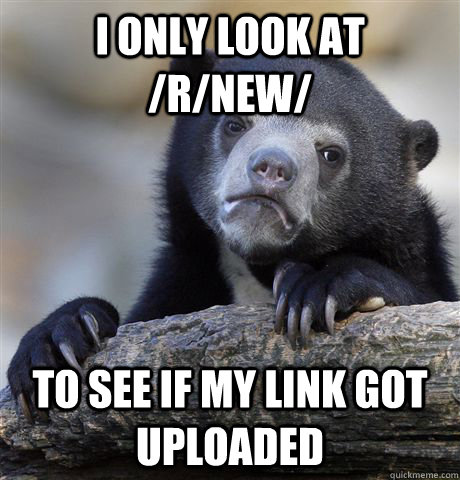 i only look at rnew to see if my link got uploaded - Confession Bear