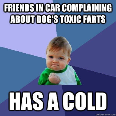 friends in car complaining about dogs toxic farts has a col - Success Kid